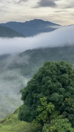 Suasana pagi adem