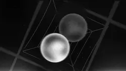 BnW intro
