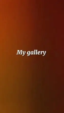 MY GALLERY 