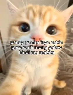 panay panira kayo