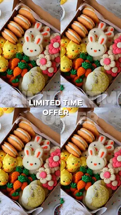 limited time offer
