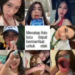 menatap foto lucu 