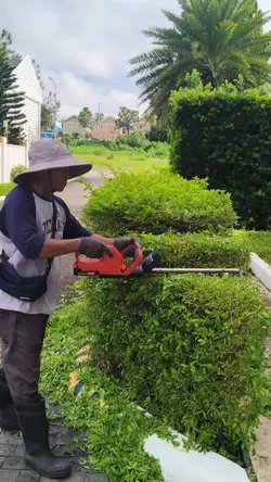 Trimming & Cultivate