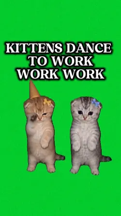 KITTENS DANCE 
TO WO