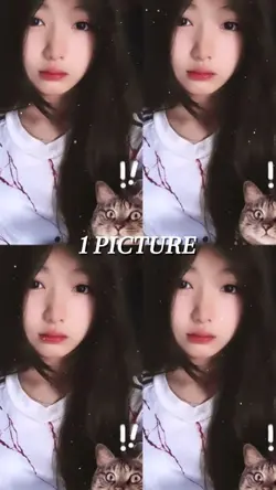 1 pic