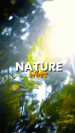 NATURE VIBES VLOG