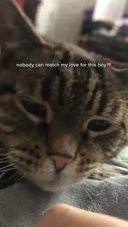 💗