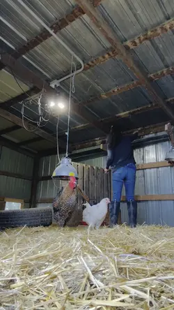 Farmlife