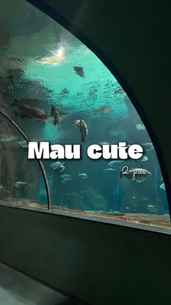 Mẫu cute