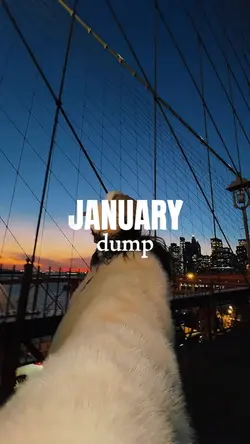 JANUARY DUMP 2026