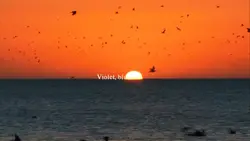 SLOWMOTION 16:9 