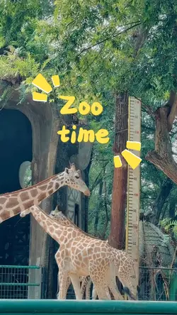 zoo time