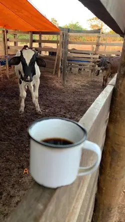 vida na roça