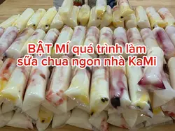 Sữa chua KaMi