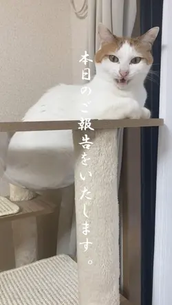 本日のご報告をいたします。