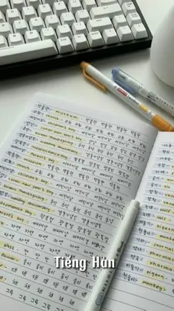báo tiếng Hàn 