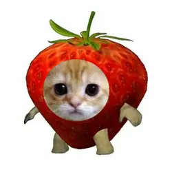 strawberry 
