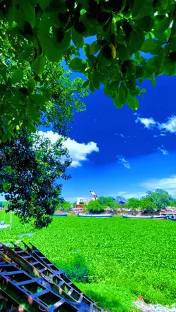 Nature slomo templat
