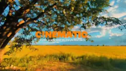 Cinematic 