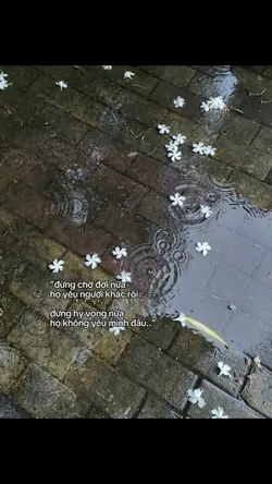 dung cho doi nua
