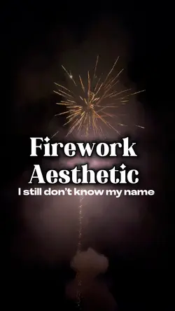 Firework Aesthetic 🎇