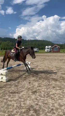 Hoppning/markarbete🥰