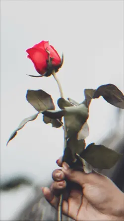 紹介テンプレ