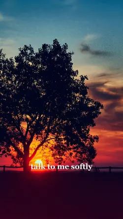 don't cry 