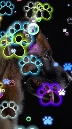 huellas  de perrito 