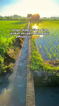 Affiliate tiktok