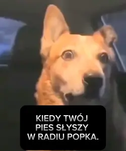 POPUŚ CZY TO TY ?