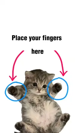 Place your fingers 