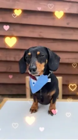 Happy Valentine's