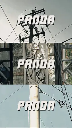 PANDA