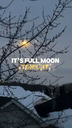 Winter full moon 