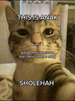 juara 1 gapernah