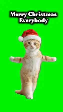Merry Christmas Cat