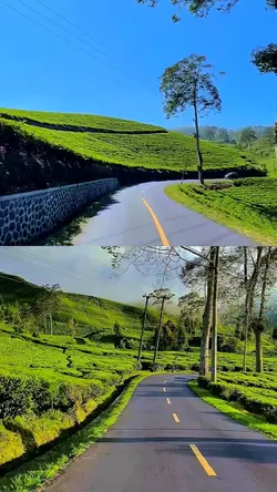 2 video 1 layout