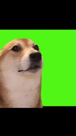 perro sonrie