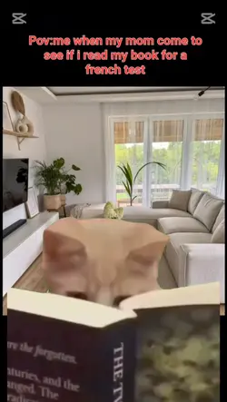 meaw meaw ha
