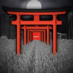 3D template