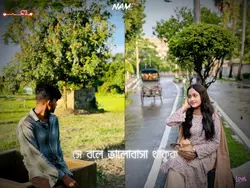 সে বলে ভালোবাসা থাকুক 