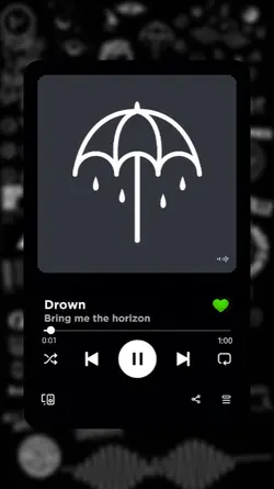 Musik spotify