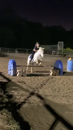 Mini jump course 😚