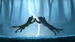 Warrior Cats 