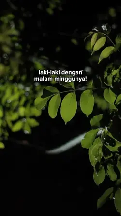 Malam minggu nya 