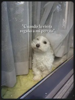 cuando la visita...