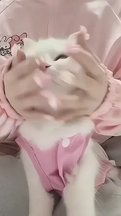 UÑITAS TUTORIAL 