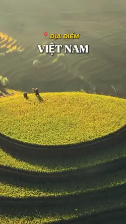 Welcome to VIỆT NAM