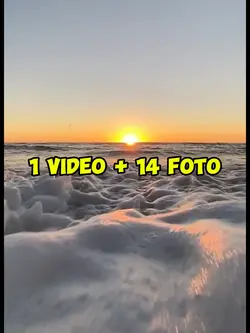 1 video 14 foto